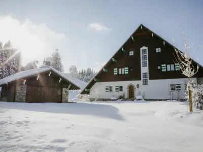 2511 Marie Bougault Le Sarto 11