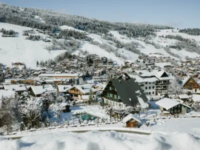 2511 Marie Bougault Le Sarto 45