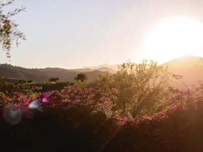 REF 008 13 BR WELLNESS VILLA 8