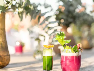 REF 008 13 BR WELLNESS VILLA 10