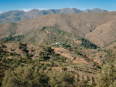 REF 008 13 BR WELLNESS VILLA 31