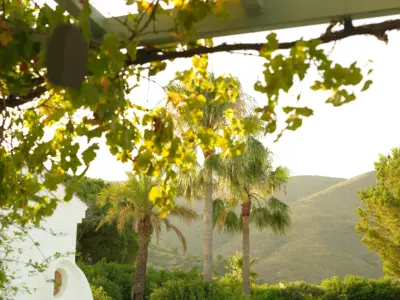 REF 008 13 BR WELLNESS VILLA 37