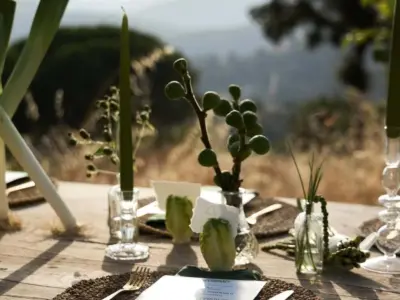 REF 008 13 BR WELLNESS VILLA 78