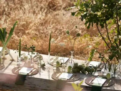 REF 008 13 BR WELLNESS VILLA 82