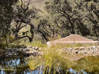 REF 008 13 BR WELLNESS VILLA 131