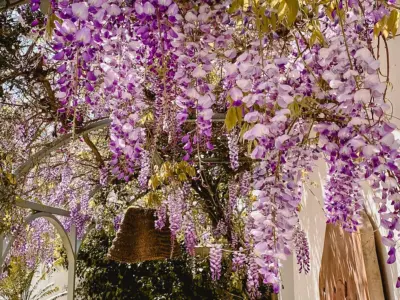 REF 008 13 BR WELLNESS VILLA 134