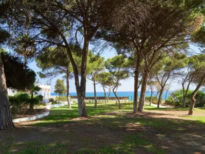 REF 015 6 BR BEACHFRONT HACIENDA 38