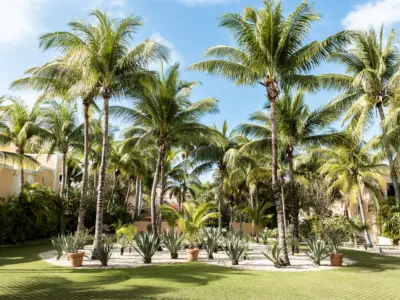 Hacienda Corazon 0006