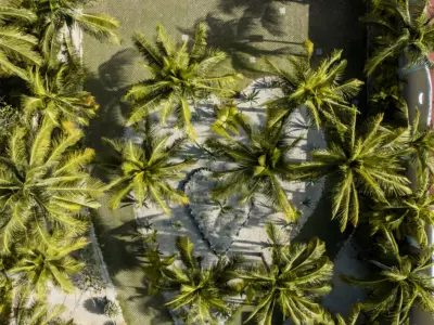 Hacienda Corazon 0092