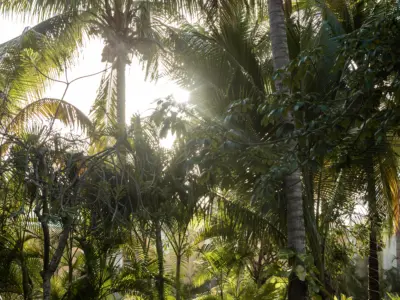 Hacienda Del Mar 0006