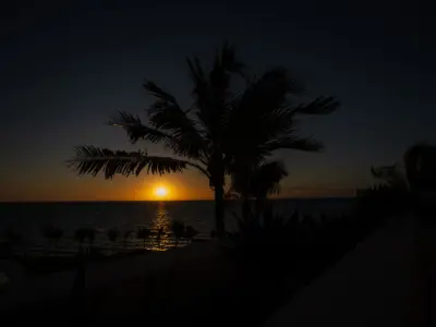 PEARL WEST EXTERIORES 18