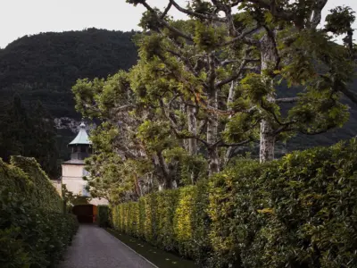 Villa Balbiano luxury property Lake Como Italy Milan entrance alley vintage cars water sport best boat service experience italian food wine private dinner