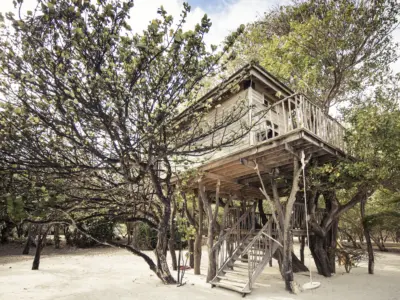 Guillaume Plisson 2561