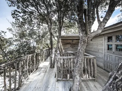 Guillaume Plisson 2595