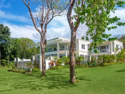 Bougain Villa NL22 S 03