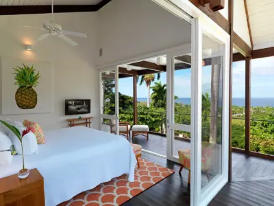 19 Pineapple Bedroom