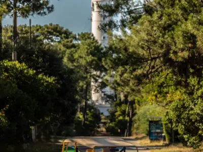 Coeur du ferret david loridan 1