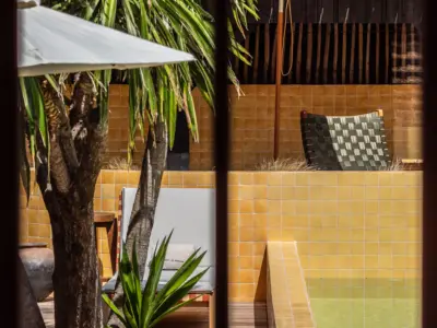 Coeur du ferret david loridan 3