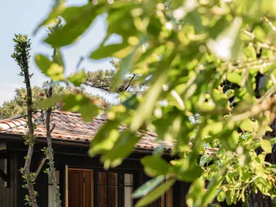 ICONIC HOUSE Cap Ferret 18 HD