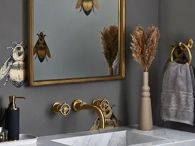 Elysium Scottsdale 4