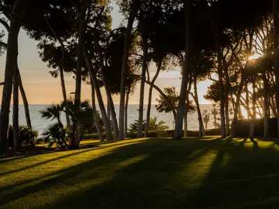 REF 001 15 BR BEACHFRONT VILLA 38