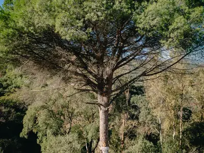 REF 008 13 BR WELLNESS VILLA 13